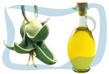 Jojoba oil